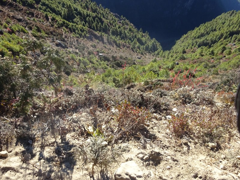 Incredibly steep cliff