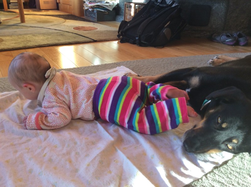 File 2017-01-08, 10 07 45 AM