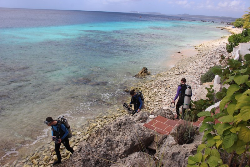 file-2017-01-30-9-06-18-pm