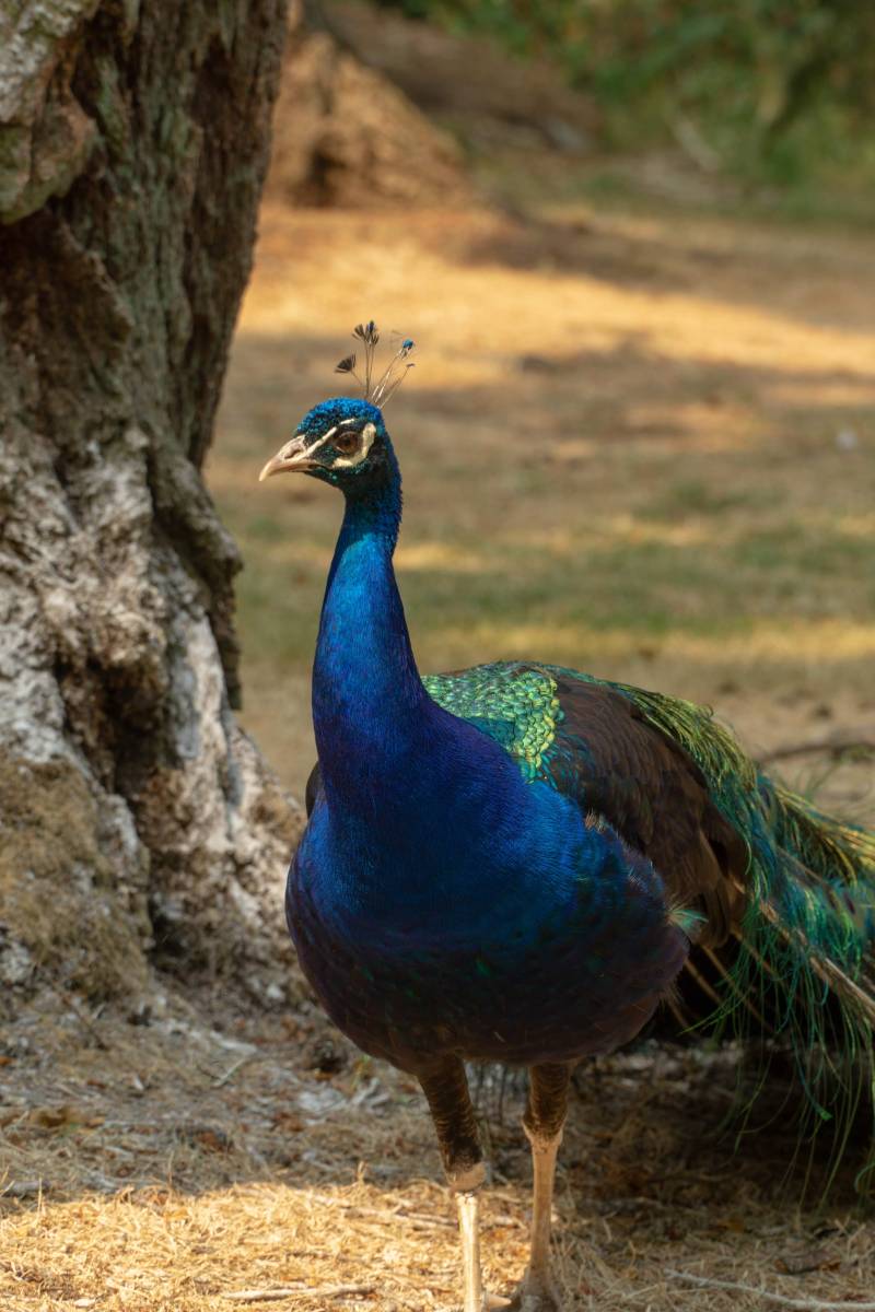 LRM_EXPORT_20180816_160049